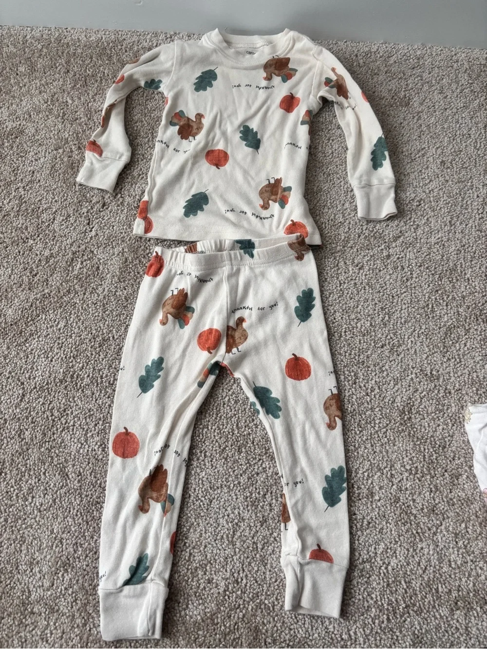 Fall/Winter Toddler Girl Pajama & Sleep Sack Bundle - 17 Items - 18-24 Months